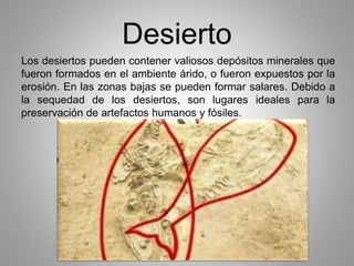 Desierto 
Los desiertos pueden contener valiosos depósitos minerales que 
fueron formados en el ambiente árido, o fueron expuestos por la 
erosión. En las zonas bajas se pueden formar salares. Debido a 
la sequedad de los desiertos, son lugares ideales para la 
preservación de artefactos humanos y fósiles. 
 
