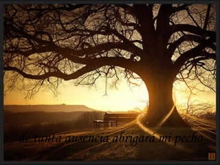 de tanta ausencia abrigará mi pecho