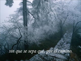 sin que se sepa qué, por el camino.