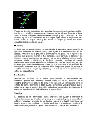 Funciones de este aminoácido son garantizar la absorción adecuada de calcio y
mantiene un equilibrio adecuado de nitrógeno en los adultos. Además, la lisina
ayuda a formar colágeno que constituye el cartílago y tejido conectivo. La Lisina
también ayuda a la producción de anticuerpos que tienen la capacidad para
luchar contra el herpes labial y los brotes de herpes y reduce los niveles
elevados de triglicéridos en suero.
Metionina
La Metionina es un antioxidante de gran alcance y una buena fuente de azufre, lo
que evita trastornos del cabello, piel y uñas, ayuda a la descomposición de las
grasas, ayudando así a prevenir la acumulación de grasa en el hígado y las
arterias, que pueden obstruir el flujo sanguíneo a el cerebro, el corazón y los
riñones, ayuda a desintoxicar los agentes nocivos como el plomo y otros metales
pesados, ayuda a disminuir la debilidad muscular, previene el cabello
quebradizo, protege contra los efectos de las radiaciones, es beneficioso para las
mujeres que toman anticonceptivos orales, ya que promueve la excreción de los
estrógenos, reduce el nivel de histamina en el cuerpo que puede causar que el
cerebro transmita mensajes equivocados, por lo que es útil a las personas que
sufren de esquizofrenia.
Fenilalanina
Aminoácidos utilizados por el cerebro para producir la noradrenalina, una
sustancia química que transmite señales entre las células nerviosas en el
cerebro, promueve el estado de alerta y la vitalidad. La Fenilalanina eleva el
estado de ánimo, disminuye el dolor, ayuda a la memoria y el aprendizaje, que se
utiliza para tratar la artritis, depresión, calambres menstruales, las jaquecas, la
obesidad, la enfermedad de Parkinson y la esquizofrenia.
Treonina
La treonina es un aminoácido cuyas funciones son ayudar a mantener la
cantidad adecuada de proteínas en el cuerpo, es importante para la formación de
colágeno, elastina y esmalte de los dientes y ayuda a la función lipotrópica del
hígado cuando se combina con ácido aspártico y la metionina, previene la
acumulación de grasa en el hígado, su metabolismo y ayuda a su asimilación.
 