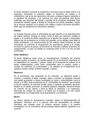El Ácido Aspártico aumenta la resistencia y es bueno para la fatiga crónica y la
depresión, rejuvenece la actividad celular, la formación de células y el
metabolismo, que le da una apariencia más joven, protege el hígado, ayudando a
la expulsión de amoniaco y se combina con otros aminoácidos para formar
moléculas que absorben las toxinas y sacarlas de la circulación sanguínea. Este
aminoácido también ayuda a facilitar la circulación de ciertos minerales a través
de la mucosa intestinal, en la sangre y las células y ayuda a la función del ARN y
ADN, que son portadores de información genética.
Cisteína
La Cisteína funciona como un antioxidante de gran alcance en la desintoxicación
de toxinas dañinas. Protege el cuerpo contra el daño por radiación, protege el
hígado y el cerebro de daños causados por el alcohol, las drogas y compuestos
tóxicos que se encuentran en el humo del cigarrillo, se ha utilizado para tratar la
artritis reumatoide y el endurecimiento de las arterias. Otras funciones de este
aminoácido es promover la recuperación de quemaduras graves y la cirugía,
promover la quema de grasa y la formación de músculos y retrasar el proceso de
envejecimiento. La piel y el cabello se componen entre el 10% y el 14% de este
aminoácido.
Ácido Glutámico
El Ácido Glutámico actúa como un neurotransmisor excitatorio del sistema
nervioso central, el cerebro y la médula espinal. Es un aminoácido importante en
el metabolismo de azúcares y grasas, ayuda en el transporte de potasio en el
líquido cefalorraquídeo, actúa como combustible para el cerebro, ayuda a
corregir los trastornos de personalidad, y es utilizado en el tratamiento de la
epilepsia, retraso mental, distrofia muscular y úlceras.
Glutamina
Es el aminoácido más abundante en los músculos. La Glutamina ayuda a
construir y mantener el tejido muscular, ayuda a prevenir el desgaste muscular
que puede acompañar a reposo prolongado en cama o enfermedades como el
cáncer y el SIDA. Este aminoácido es un "combustible de cerebros" que aumenta
la función cerebral y la actividad mental, ayuda a mantener el equilibrio del ácido
alcalino en el cuerpo, promueve un sistema digestivo saludable, reduce el tiempo
de curación de las úlceras y alivia la fatiga, la depresión y la impotencia,
disminuye los antojos de azúcar y el deseo por el alcohol y ha sido usado
recientemente en el tratamiento de la esquizofrenia y la demencia.
Glicina
La Glicina retarda la degeneración muscular, mejora el almacenamiento de
glucógeno, liberando así a la glucosa para las necesidades de energía,
promueve una próstata sana, el sistema nervioso central y el sistema
inmunológico. Es un aminoácido útil para reparar tejidos dañados, ayudando a su
curación.
 
