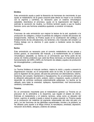 Ornitina
Este aminoácido ayuda a pedir la liberación de hormonas de crecimiento, lo que
ayuda al metabolismo de la grasa corporal (este efecto es mayor si se combina
con la arginina y carnitina), es necesario para un sistema inmunológico
saludable, desintoxica el amoniaco, ayuda en la regeneración del hígado y
estimula la secreción de insulina. La Ornitina también ayuda a que la insulina
funcione como una hormona anabólica ayudando a construir el músculo.
Prolina
Funciones de este aminoácido son mejorar la textura de la piel, ayudando a la
producción de colágeno y reducir la pérdida de colágeno a través del proceso de
envejecimiento. Además, la Prolina ayuda en la cicatrización del cartílago y el
fortalecimiento de las articulaciones, los tendones y los músculos del corazón. La
Prolina trabaja con la vitamina C para ayudar a mantener sanos los tejidos
conectivos.
Serina
Este aminoácido es necesario para el correcto metabolismo de las grasas y
ácidos grasos, el crecimiento del músculo, y el mantenimiento de un sistema
inmunológico saludable. La Serina es un aminoácido que forma parte de las
vainas de mielina protectora que cubre las fibras nerviosas, es importante para el
funcionamiento del ARN y ADN y la formación de células y ayuda a la producción
de inmunoglobulinas y anticuerpos.
Taurina
La Taurina fortalece el músculo cardíaco, mejora la visión, y ayuda a prevenir la
degeneración macular, es el componente clave de la bilis, la cual es necesaria
para la digestión de las grasas, útil para las personas con aterosclerosis, edema,
trastornos del corazón, hipertensión o hipoglucemia. Es un aminoácido vital para
la utilización adecuada de sodio, potasio, calcio y magnesio, ayuda a prevenir el
desarrollo de arritmias cardiacas potencialmente peligrosas. La taurina se ha
utilizado para tratar la ansiedad, epilepsia, hiperactividad, mal funcionamiento
cerebral y convulsiones.
Tirosina
Es un aminoácido importante para el metabolismo general. La Tirosina es un
precursor de la adrenalina y la dopamina, que regulan el estado de ánimo.
Estimula el metabolismo y el sistema nervioso, actúa como un elevador del
humor, suprime el apetito y ayuda a reducir la grasa corporal. La Tirosina ayuda
en la producción de melanina (el pigmento responsable del color del pelo y la
piel) y en las funciones de las glándulas suprarrenales, tiroides y la pituitaria, se
ha utilizado para ayudar a la fatiga crónica, la narcolepsia, ansiedad, depresión,
reducción de la líbido, alergias y dolores de cabeza.
 