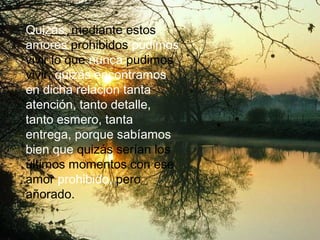 Quizás, mediante estos
amores prohibidos pudimos
vivir lo que nunca pudimos
vivir, quizás encontramos
en dicha relación tanta
atención, tanto detalle,
tanto esmero, tanta
entrega, porque sabíamos
bien que quizás serían los
últimos momentos con ese
amor prohibido, pero
añorado.

 