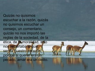Quizás no quisimos
escuchar a la razón, quizás
no quisimos escuchar un
consejo, un comentario,
quizás no nos importó las
reglas de la sociedad, de la
ética, de la moralidad, solo
nos importaba lo que
sentía nuestro corazón,
porque si querer era un
pecado, amar era un delito.

 
