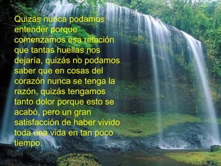 Quizás nunca podamos
entender porque
comenzamos esa relación
que tantas huellas nos
dejaría, quizás no podamos
saber que en cosas del
corazón nunca se tenga la
razón, quizás tengamos
tanto dolor porque esto se
acabó, pero un gran
satisfacción de haber vivido
toda una vida en tan poco
tiempo.

 