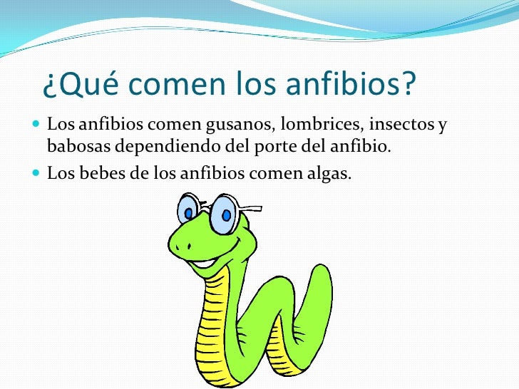 Que parásitos llaman la diarrea