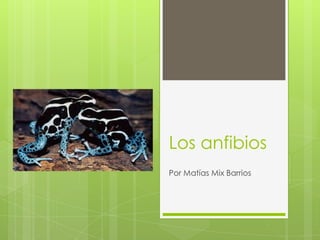 Los anfibios Por Matías Mix Barrios 