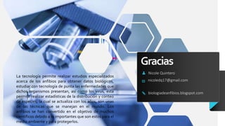 Gracias
Nicole Quintero
nicoledq17@gmail.com
biologiadeanfibios.blogspot.com
La tecnología permite realizar estudios especializados
acerca de los anfibios para obtener datos biológicos,
estudiar con tecnología de punta las enfermedades que
dichos organismos presentan, así como los virus, esta
permite realizar estadísticas de la distribución y conteo
de especies, la cual se actualiza con los años, son unas
de las técnicas que se manejan en el mundo. Los
anfibios se han convertido en el objetivo de muchos
científicos debido a lo importantes que son estos para el
medio ambiente y para protegerlos.
 