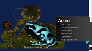 Anuros
1. Descripción
2. Distribución y Hábitat
3. Alimentación
4. Reproducción
5. Depredadores
6. Peligro de Extinción
4
Dendrobates auratus
 