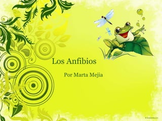 Los Anfibios Por Marta Mejia  