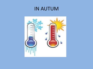 IN AUTUM
