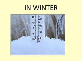 IN WINTER