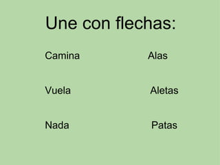 Une con flechas:              Camina                        Alas              Vuela                            Aletas              Nada                             Patas       