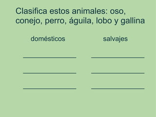 Clasifica estos animales: oso, conejo, perro, águila, lobo y gallina            domésticos                    salvajes        ______________        ______________        ______________        ______________        ______________        ______________ 