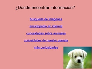 ¿Dónde encontrar información? búsqueda de imágenes   enciclopedia en internet   curiosidades sobre animales   curiosidades de nuestro planeta   más curiosidades 