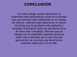 CONCLUSIÓN Con este trabajo nuestro alumnado no solamente está aprendiendo sobre los animales sino que también está soltándose en el manejo de internet. Además está elaborando un banco de fichas que le ayudarán más adelante a recopilar información tanto de este tema como de otros más complejos. Siempre que se trabaja con el ordenador nuestros alumnos están más motivados por lo que hay que aprovechar los recursos que tenemos en nuestras máquinas y en la web. 
