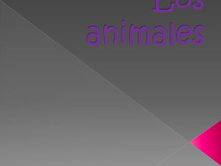 Los animales 