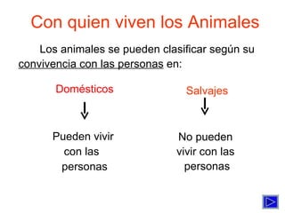 Con quien viven los Animales Domésticos Pueden vivir  con las  personas Salvajes No pueden  vivir con las  personas Los animales se pueden clasificar según su convivencia con las personas  en: 