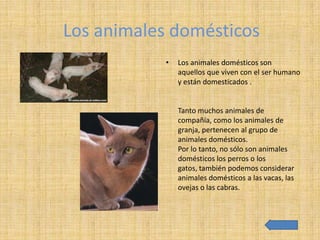 Los animales domésticos
            •   Los animales domésticos son
                aquellos que viven con el ser humano
                y están domesticados .


                Tanto muchos animales de
                compañía, como los animales de
                granja, pertenecen al grupo de
                animales domésticos.
                Por lo tanto, no sólo son animales
                domésticos los perros o los
                gatos, también podemos considerar
                animales domésticos a las vacas, las
                ovejas o las cabras.
 