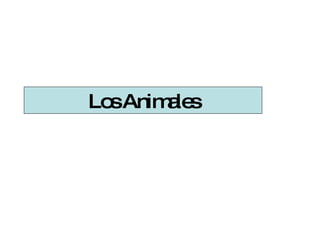 Los Animales 