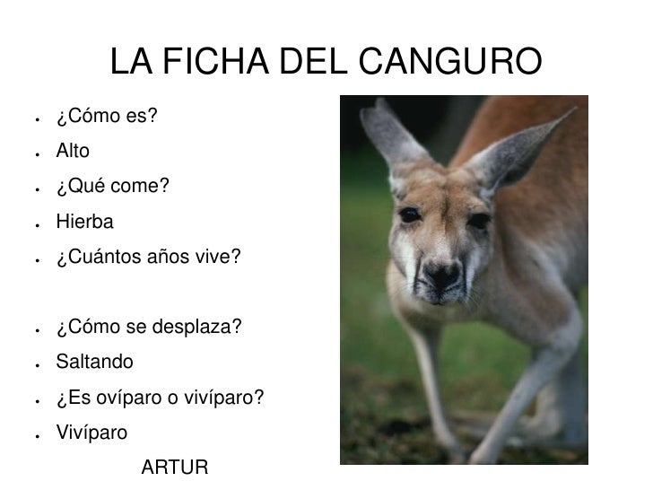 Los animales