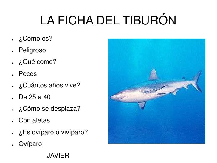 Los animales Los animales