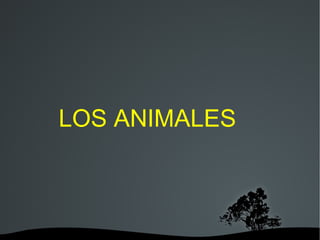 LOS ANIMALES



         
 