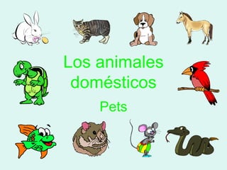 Los animales
domésticos
Pets
 