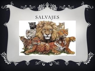SALVAJES
 