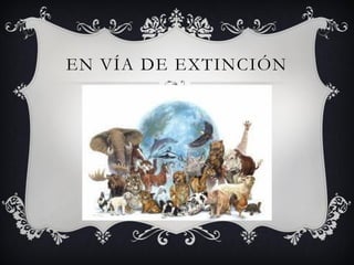 EN VÍA DE EXTINCIÓN
 