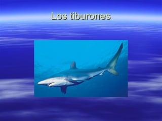Los tiburones 