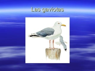 Las gaviotas 