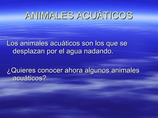ANIMALES ACUÁTICOS Los animales acuáticos son los que se desplazan por el agua nadando. ¿Quieres conocer ahora algunos animales acuáticos? 