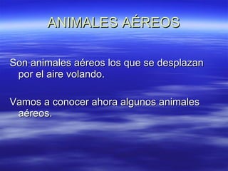 ANIMALES AÉREOS Son animales aéreos los que se desplazan por el aire volando. Vamos a conocer ahora algunos animales aéreos. 