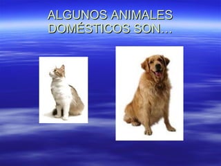 ALGUNOS ANIMALES DOMÉSTICOS SON… 