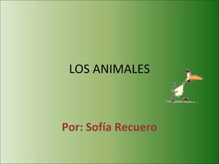 LOS ANIMALES Por: Sofía Recuero 