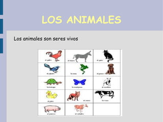 LOS ANIMALES ,[object Object]