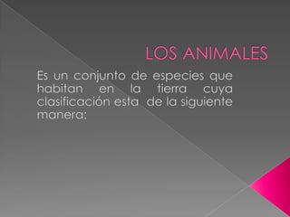 LOS ANIMALES Es un conjunto de especies que habitan en la tierra cuya clasificación esta  de la siguiente manera: 
