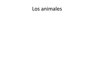 Los animales 