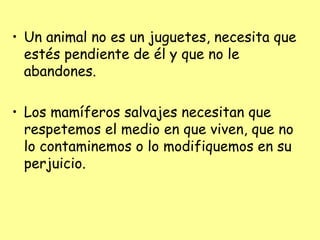• Un animal no es un juguetes, necesita que
  estés pendiente de él y que no le
  abandones.

• Los mamíferos salvajes necesitan que
  respetemos el medio en que viven, que no
  lo contaminemos o lo modifiquemos en su
  perjuicio.
 