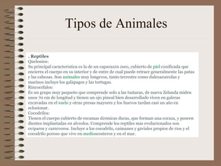 Tipos de Animales  . Reptiles Quelonios: Su principal caracter í stica es la de un caparaz ó n  ó seo, cubierto de   piel   c ó nificada que encierra el cuerpo en su interior y de entre de cual puede retraer generalmente las patas y las cabezas. Son   animales   muy longevos, tanto terrestre como dulceacu í colas y marinos incluye los gal á pagos y las tortugas. Rincoc é falos: Es un grupo muy peque ñ o que comprende   solo   a las tu á taras, de nueva Zelanda miden unos 70 cm de longitud y tienen un ojo pineal bien desarrollado viven en galeras excavadas en el   suelo   y otras presas mayores y los   huevos   tardan   casi   un a ñ o en eclosionar. Cocodrilos: Tienen el cuerpo cubierto de escamas d é rmicas duras, que forman una coraza, y poseen dientes implantadas en alv é olos. Comprende los reptiles m á s evolucionados son ov í paros y carn í voros. Incluye a los cocodrilo, caimanes y g á viales propios de r í os y el cocodrilo poroso que vive en   medios costeros y en el mar. 
