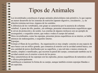 Tipos de Animales  Los invertebrados constituyen el grupo animales pluricelulares más primitivo, lo que supone un menor desarrollo de los sistemas de nutrición (aparato digestivo, circulatorio...) y de relación (sistema nervioso, órganos de los sentidos. A diferencia de los vertebrados, este grupo se caracteriza por la ausencia de columna vertebral. A pesar de ello, pueden, ,sin embargo, presentar otrasestructuras esqueléticas qque le sirven de protección y de sostén. Las conchas de algunos moluscos son un ejemplo de exoesqueleto, o esqueleto extern, que rodea o rodea el cuerpo del animal. Otros invertebrados, como las esponjas, presentar piezas esqueléticas en su interior, se habla entonces de endoesqueleto, o esqueleto interno. Esponjas: Forman el fílum de los poríferos. .Su organización es muy simple: consiste en una especie de saco hueco con un orifico grande, que comunica al exterior con la cavidad central hueca, con una cantidad de poros distribuidos por su superficie, y una red más o menos extensa de canales, simples o ramificados, que recorren la pared del cuerpo, comunicado también esa la cavidad central con el exterior a través de los poros. Muy características de las esponjas son las espículas, piezas esqueléticas de naturaleza caliza o silícica principalmente contribuyen a mantener la forma de su cuerpo, aunque también existen esponjas blandas o sin espículas. 