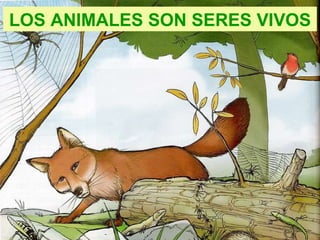 LOS ANIMALES SON SERES VIVOS 