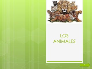 LOS
ANIMALES




           º
 