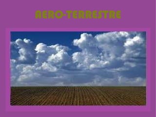 AERO-TERRESTRE 