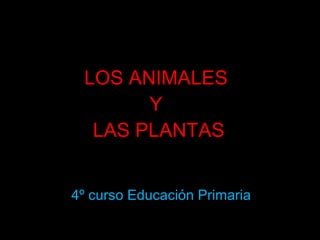 LOS ANIMALES  Y  LAS PLANTAS 4º curso Educación Primaria 