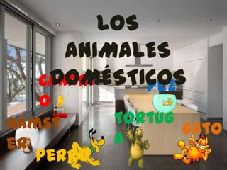 LOS
ANIMALES
DOMÉSTICOS
Canari Pez
o
Hámst Tortug
Gato
er a
Perro