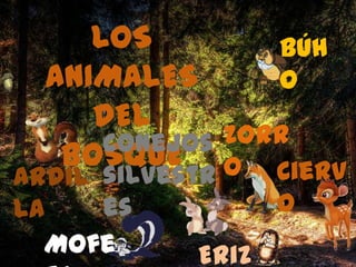 LOS Búh
ANIMALES o
DEL
Conejos Zorr
BOSQUE o Cierv
Ardil silvestr
la es o
Mofe Eriz