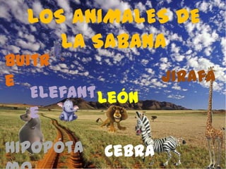 LOS ANIMALES DE
LA SABANA
Buitr
e Jirafa
Elefant León
e
Hipopóta Cebra