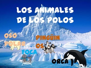 LOS ANIMALES
DE LOS POLOS
Oso Pingüin
polar os
Foca
Orca